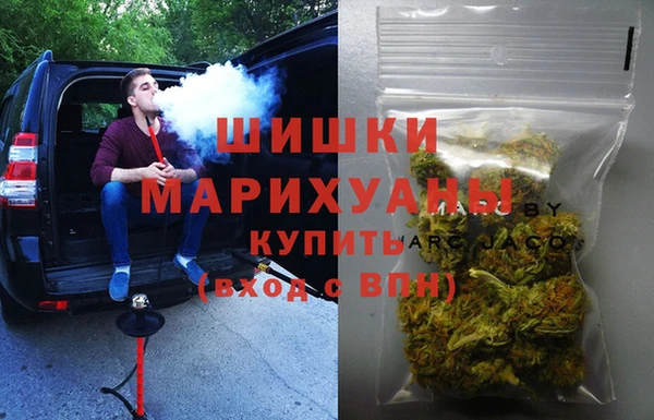 шишки Нягань