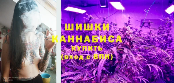 молекула духа Нязепетровск