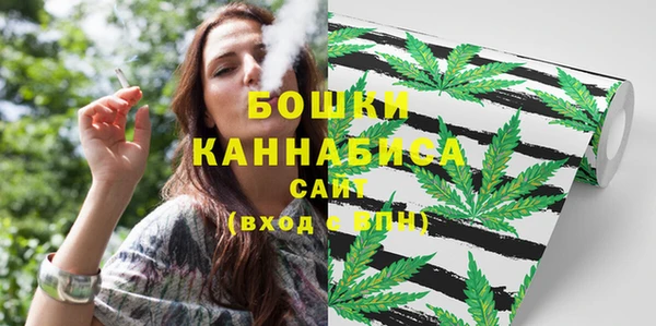 шишки Нягань