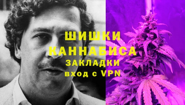 шишки Нягань