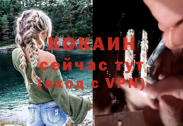 шишки Нягань