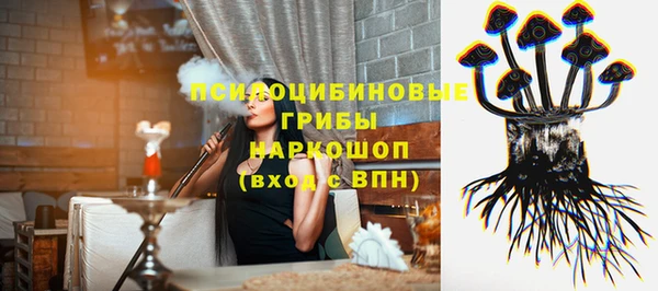 шишки Нягань