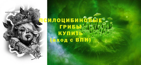 молекула духа Нязепетровск