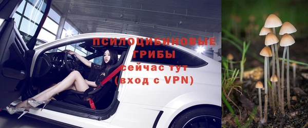 прущий лед Няндома